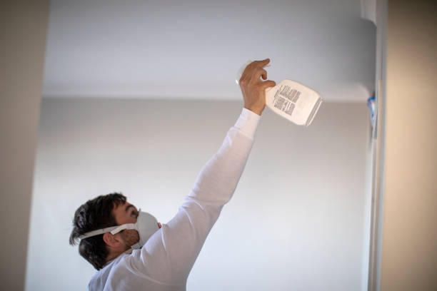 Best Toxic Mold Removal  in Hagerstown, MD